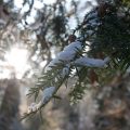 Der Winter im Ayurveda | Ayurveda Parkschlösschen Health Blog