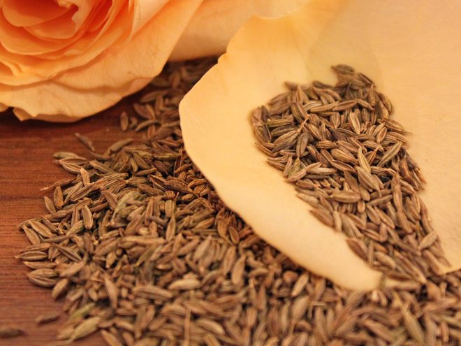 Ayurveda Lexikon: Kreuzkümmel / Cumin | Ayurveda Parkschlösschen Health Blog