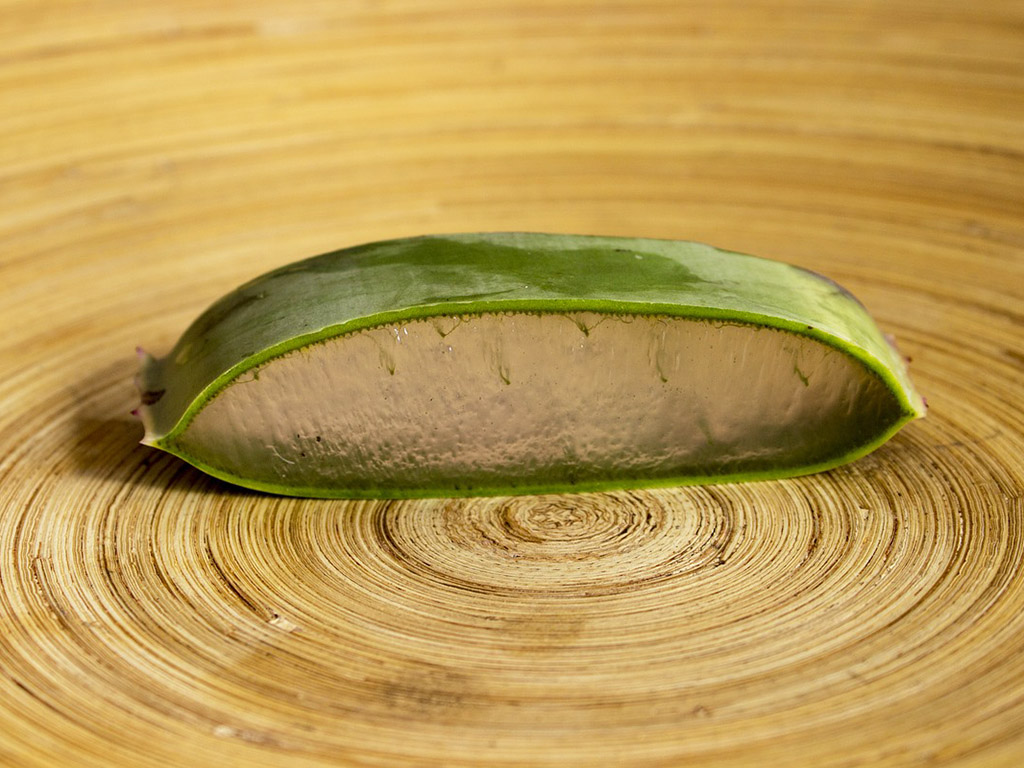 aloe vera gel verwenden Aloe Vera Gel – Feuchtigkeitspflege für trockene und sonnenstrapazierte Haut main image 0