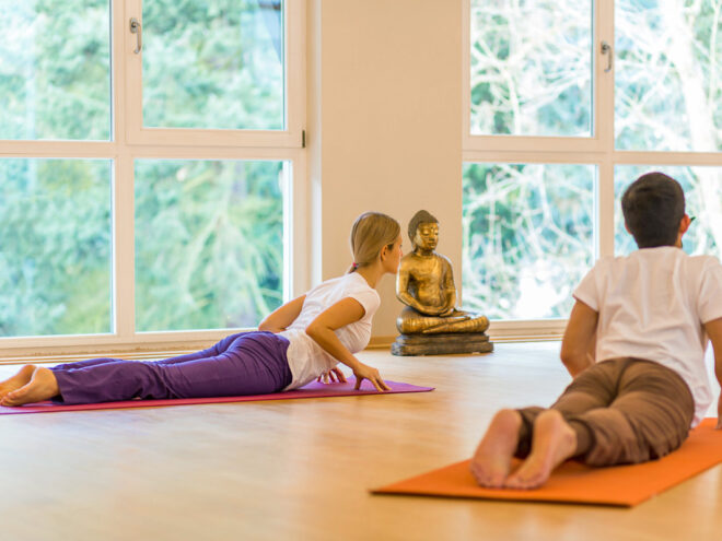 Detox Yoga Zyklus zum Abbau von Kapha im Winter | Ayurveda Parkschlössche Health Blog