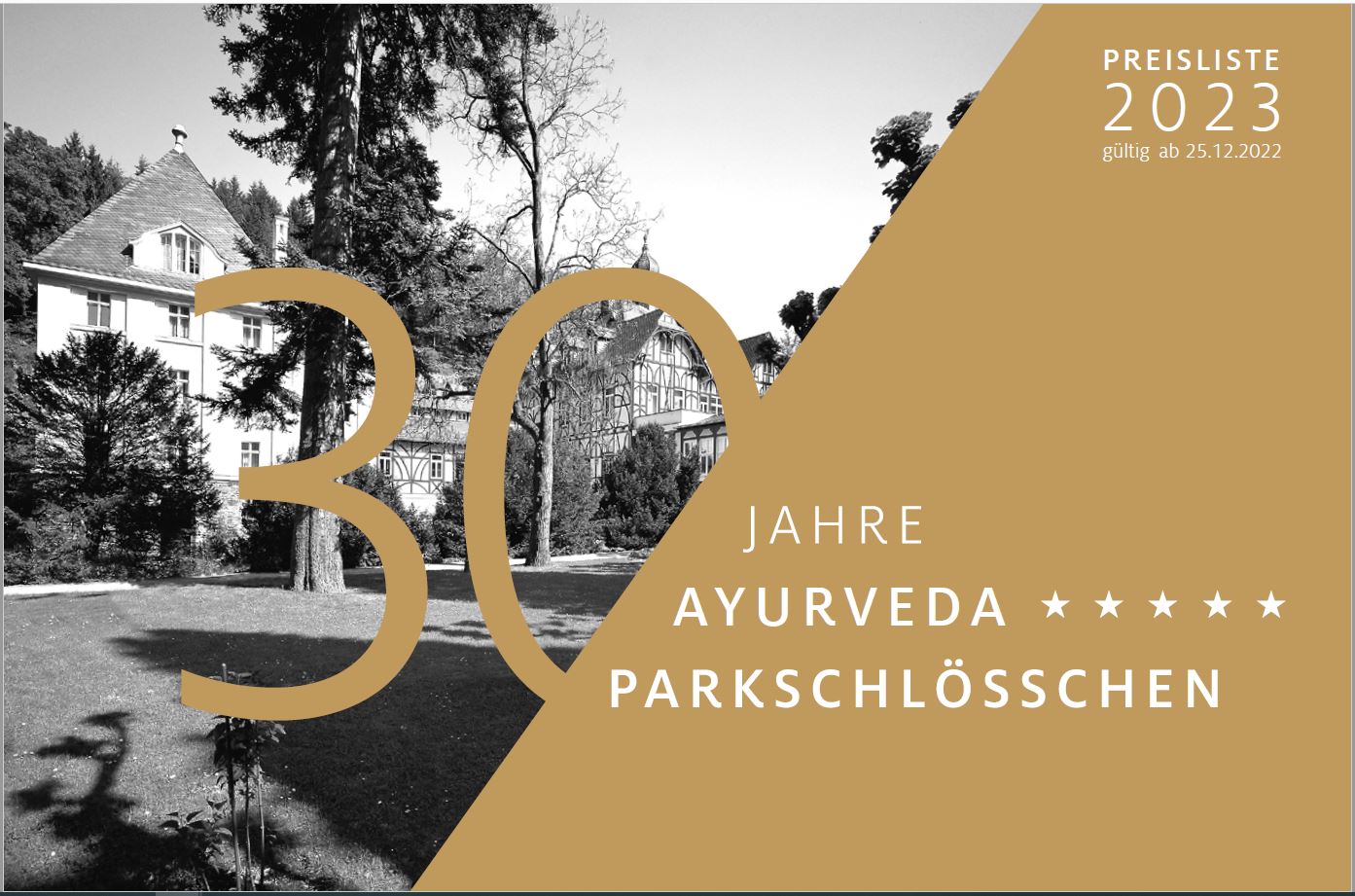 Startseite Ayurveda Parkschlösschen Health Blog