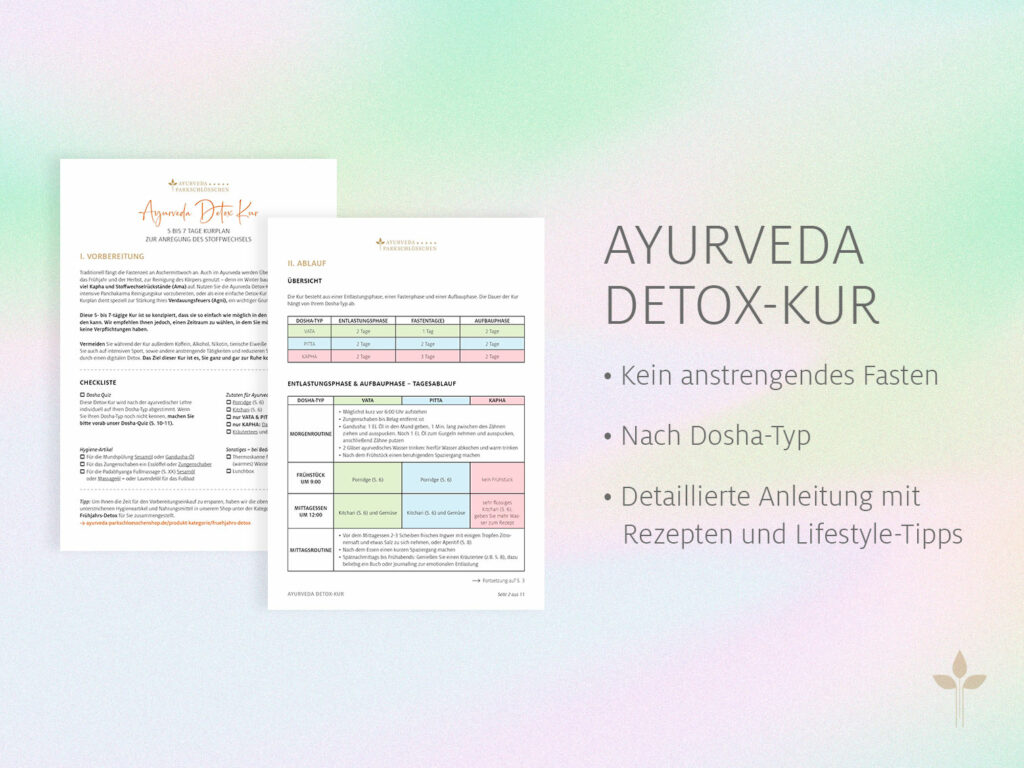 Ayurveda Detox-Kur | Ayurveda Parkschlösschen Health Blog